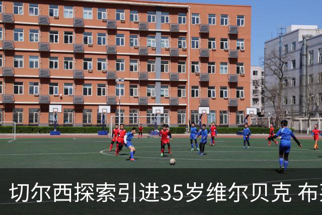 切尔西探索引进35岁维尔贝克 布莱顿射手刚创生涯新高